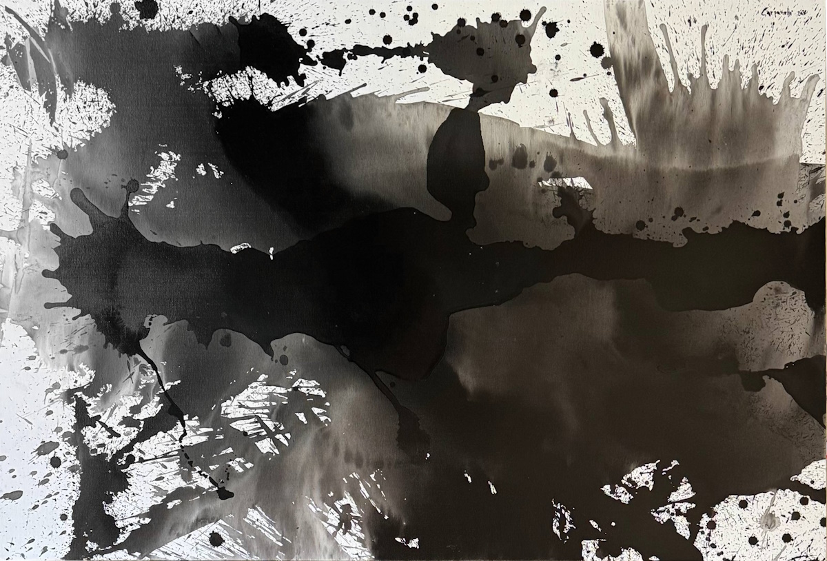 jpg Transflussioni 37: Ferusa 1 - Abstract #746